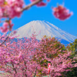 ３月/2023